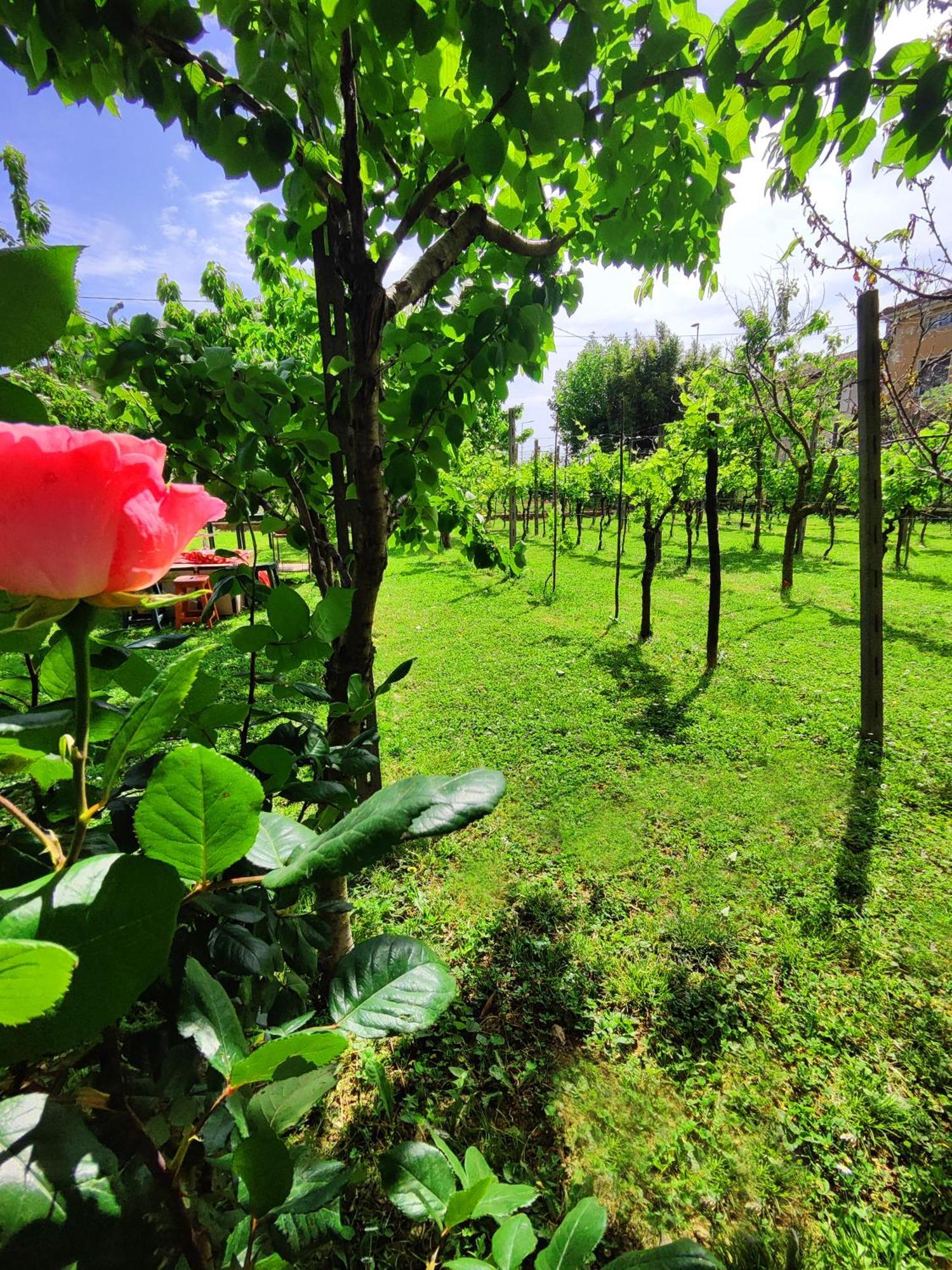 Garda Relais Antica Romelia Bed & Breakfast Montichiari Luaran gambar