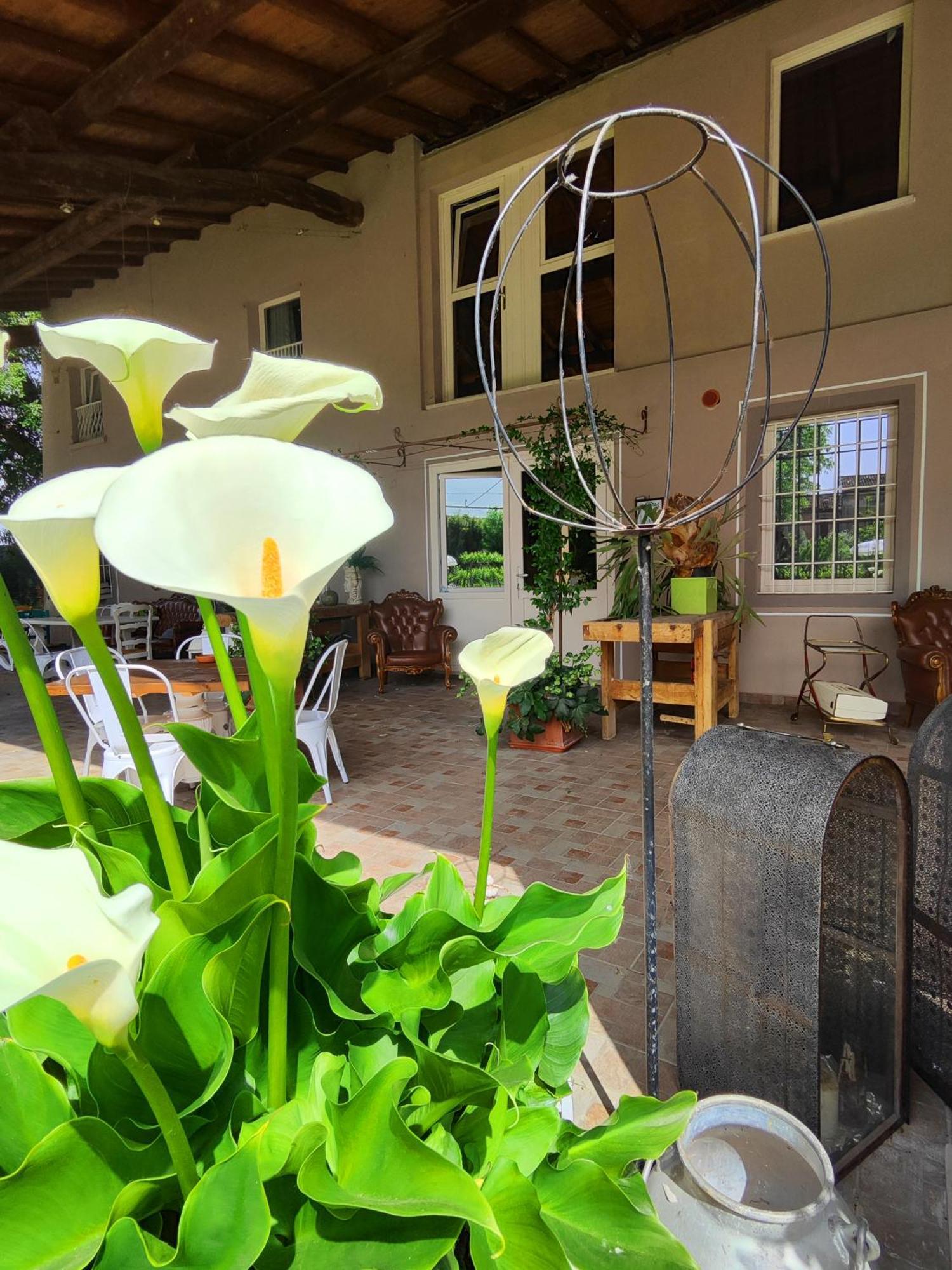 Garda Relais Antica Romelia Bed & Breakfast Montichiari Luaran gambar